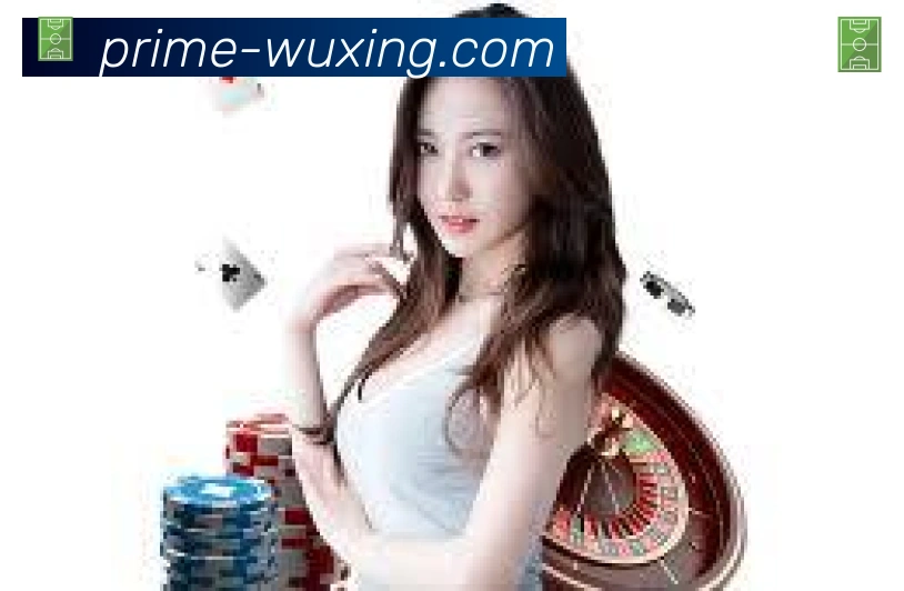 五星体育APP 封面图
